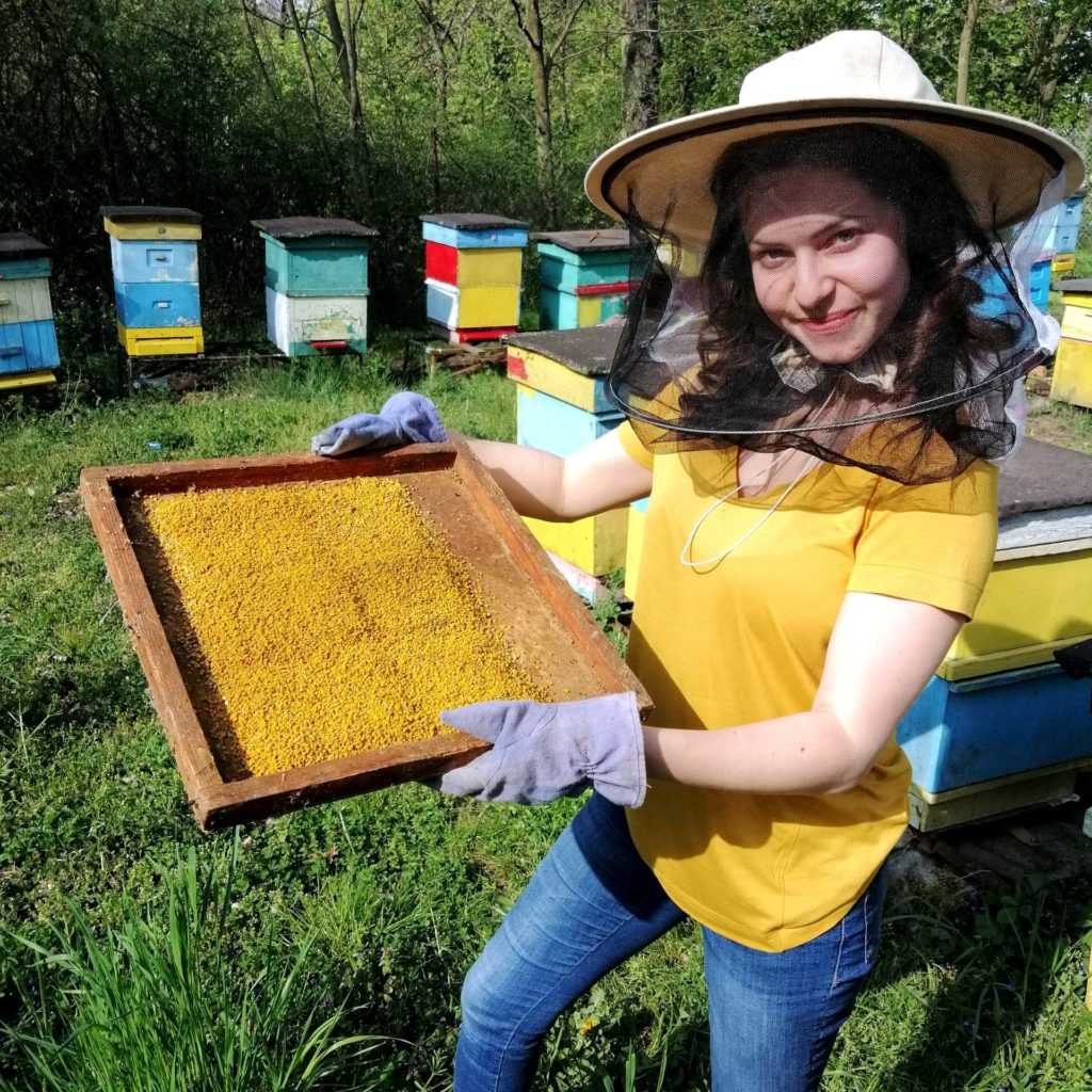 kontakt warsztaty pszczelarskie